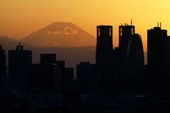 ゴールドマン支援の北欧商社、アジア事業拡大へ－電力市場の発展期待| TBS CROSS DIG with Bloomberg