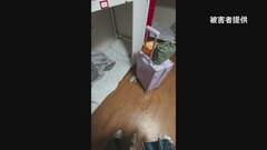 日本人男性が中国人女性の所持品に排尿？　韓国の警察が捜査| TBS CROSS DIG with Bloomberg