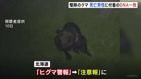 駆除したクマのDNA型　12日死亡の男性に付着した体毛のものと一致　4年前70代女性を死亡させたクマとも一致　北海道・福島町|TBS NEWS DIG