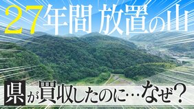 なぜ？55億円で買った山を27年間放置 使い道に愛知県は“お手上げ” ｢何でもいいから案を頂きたい｣|TBS NEWS DIG