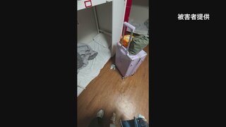 日本人男性が中国人女性の所持品に排尿？　韓国の警察が捜査| TBS CROSS DIG with Bloomberg