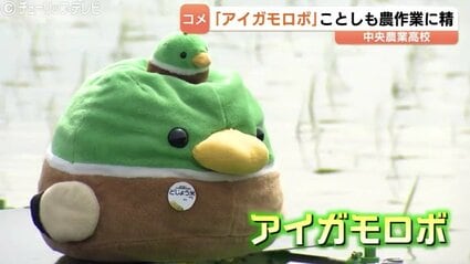 富山】壁にぶつかっても健気 優秀すぎる！中央農業高の救世主