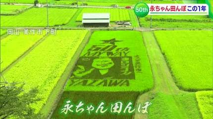 もみ殻を「黒く塗りつぶせ」！矢沢永吉さんの新たな聖地に 熱烈農家と