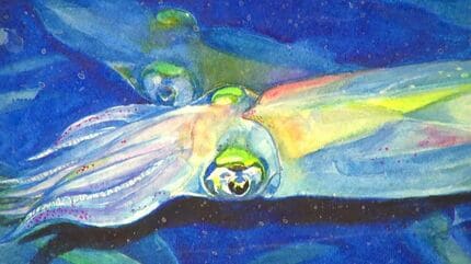 油絵 ヤリイカ イカ墨と油彩のイカ画1》(2025) キャンバス、油彩、アオリイカ墨、イカ