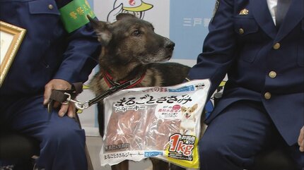 手掛かりは“靴下の匂い”行方不明の90代女性を発見の「嘱託警察犬