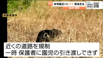 仙台の保育園近くにクマ出没で一時緊張走る 園児が外に出られず・麻酔