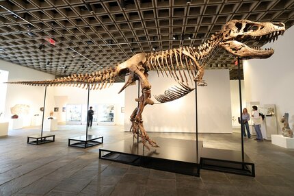 ティラノサウルス化石の落札額、過去最高の約81億円－米サザビーズ