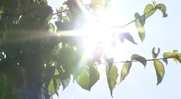 「温暖化やばい…」長野県内各地で35度以上の猛暑日…2学期始まった小学校でも「熱中症対策」体育館と校庭は毎日「暑さ指数」確認…26日も各地で猛暑日予想、引き続き熱中症に注意　|　SBC NEWS | 長野のニュース | SBC信越放送