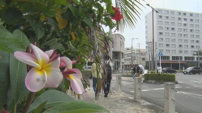 沖縄地方梅雨入り 平年より6日早く 石垣島で1時間52ミリの非常に激しい雨 先島諸島は警報級の大雨のおそれ|TBS NEWS DIG