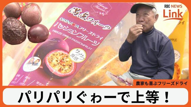 台風時の非常食にも！県産野菜やフルーツをフリーズドライで1年保存 規格外の品を無駄にせず農家を支援【つなごう沖縄】|TBS NEWS DIG