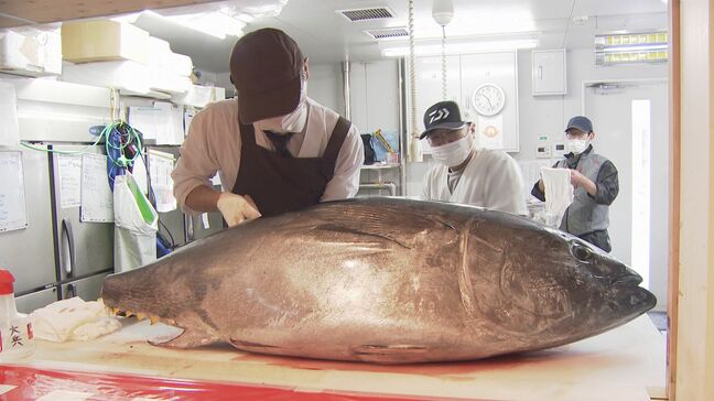 ハンマーで包丁を打ちながら切れ目を 巨大マグロ解体ショー 山口・周南|TBS NEWS DIG