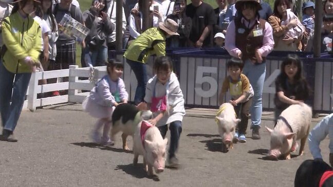 GWも終盤!各地でこどもの日イベント大盛況 千葉でヒツジにこぶたのレース 群馬でキャベツ抱え放題 スーパーではGWセールも|TBS NEWS DIG