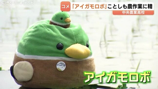 【富山】壁にぶつかっても健気 優秀すぎる！中央農業高の救世主「アイガモロボ」が始動 無休の除草作業へ|TBS NEWS DIG