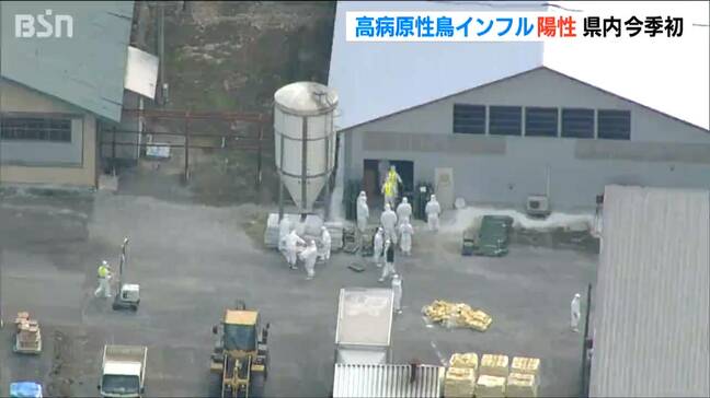 胎内市の養鶏場で高病原性鳥インフルエンザ　63万羽を処分へ　今シーズン新潟県内初　全国では3例目|TBS NEWS DIG