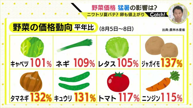 「夏休みのカレーライス作りも大変」猛暑で夏野菜は軒並み高値 価格が安定するのは9月末ごろ 価格高騰のなかオススメは「ブロッコリーはお買い得」|TBS NEWS DIG