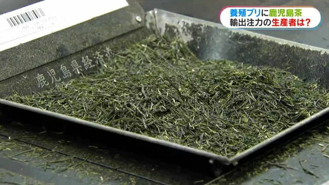 「トランプ関税は頭をハンマーで叩かれたよう」かごしま新茶初取引会で茶業関係者|TBS NEWS DIG