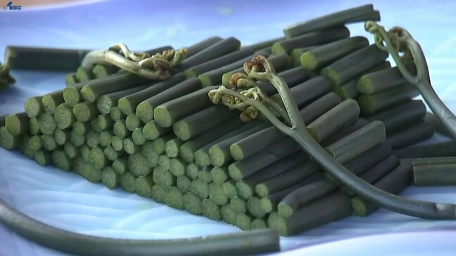 トロッとした粘りのある食感が特徴　岩手県西和賀町の特産、西わらび出発式|TBS NEWS DIG