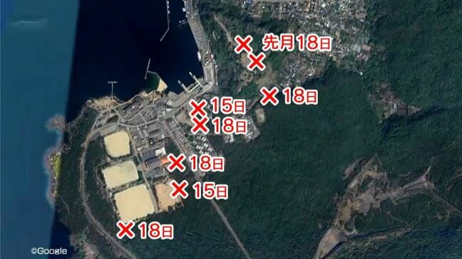 桜島で不審火相次ぐ 枯れ草火災など先月から8件 警察は放火も視野に捜査 鹿児島|TBS NEWS DIG