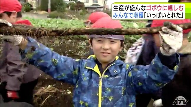 子どもたちが地元で生産盛んな『ゴボウ』をみんなで収穫！　1ｍ前後に育っていて「こんなに大きなゴボウができていて、うれしい！」　青森県六戸町|TBS NEWS DIG