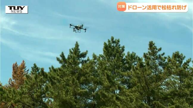 ドローンを使って薬剤を散布! 「松枯れ」被害を食い止めるための研修会(山形・鶴岡市)|TBS NEWS DIG