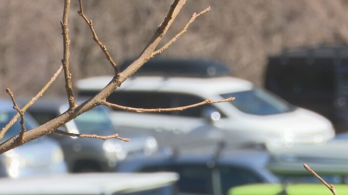 スキー場で車上荒らしの疑い　相次ぐ被害で警察が警戒中に不審な動き　男を逮捕　　|　山梨のニュース | ＵＴＹテレビ山梨