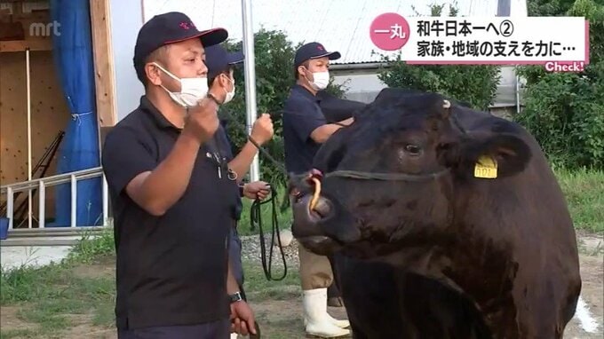 和牛日本一へ　地域と家族一丸となって全共に初挑戦　宮崎市の若手農家　|　MRTニュース ｜ ＭＲＴ宮崎放送