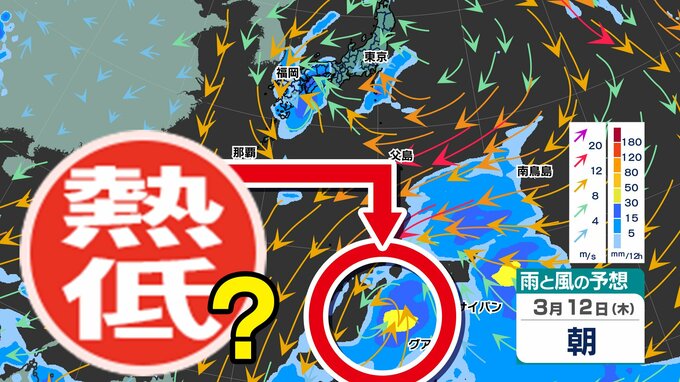【台風のたまご＝熱帯低気圧】発生へ 「父島」のすぐ南に北上か【雨風シミュレーション７日（土）～１６日（月）／ 全国各都市の週間予報】|TBS NEWS DIG