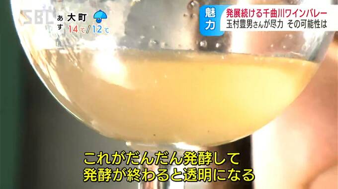 雑草生い茂る場所に玉村豊男さんがワイナリーをオープンさせて21年「千曲川ワインバレー」ゼロからスタート…人材育成で世界から注目される産地の一つに…ワインが人を呼ぶ観光やまちづくり　|　SBC NEWS | 長野のニュース | SBC信越放送