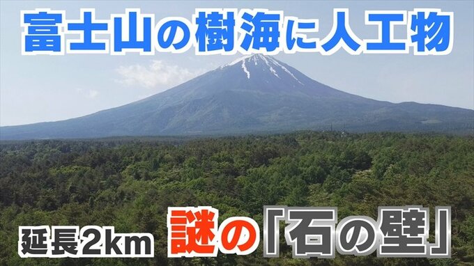 富士山の麓、青木ヶ原樹海に延長2kmの“石の壁”　いったい誰が何のために？　いまだ解明されない謎|TBS NEWS DIG