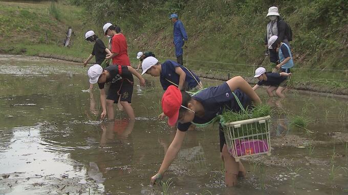 「やっと戻ってきた」泥んこ姿の子どもたち　震災後初の田植え体験　福島|TBS NEWS DIG
