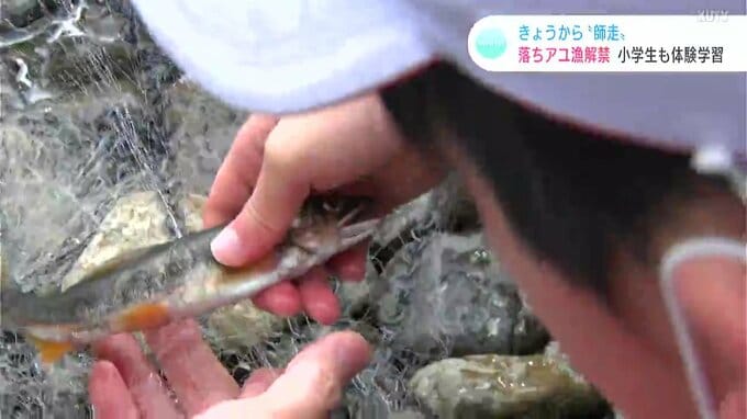 「ヌルヌルしちょった！」四万十川など高知県内の主な河川で“落ちアユ漁”解禁　小学生も体験学習|TBS NEWS DIG