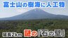 富士山の麓、青木ヶ原樹海に延長2kmの“石の壁”　いったい誰が何のために？　いまだ解明されない謎|TBS NEWS DIG