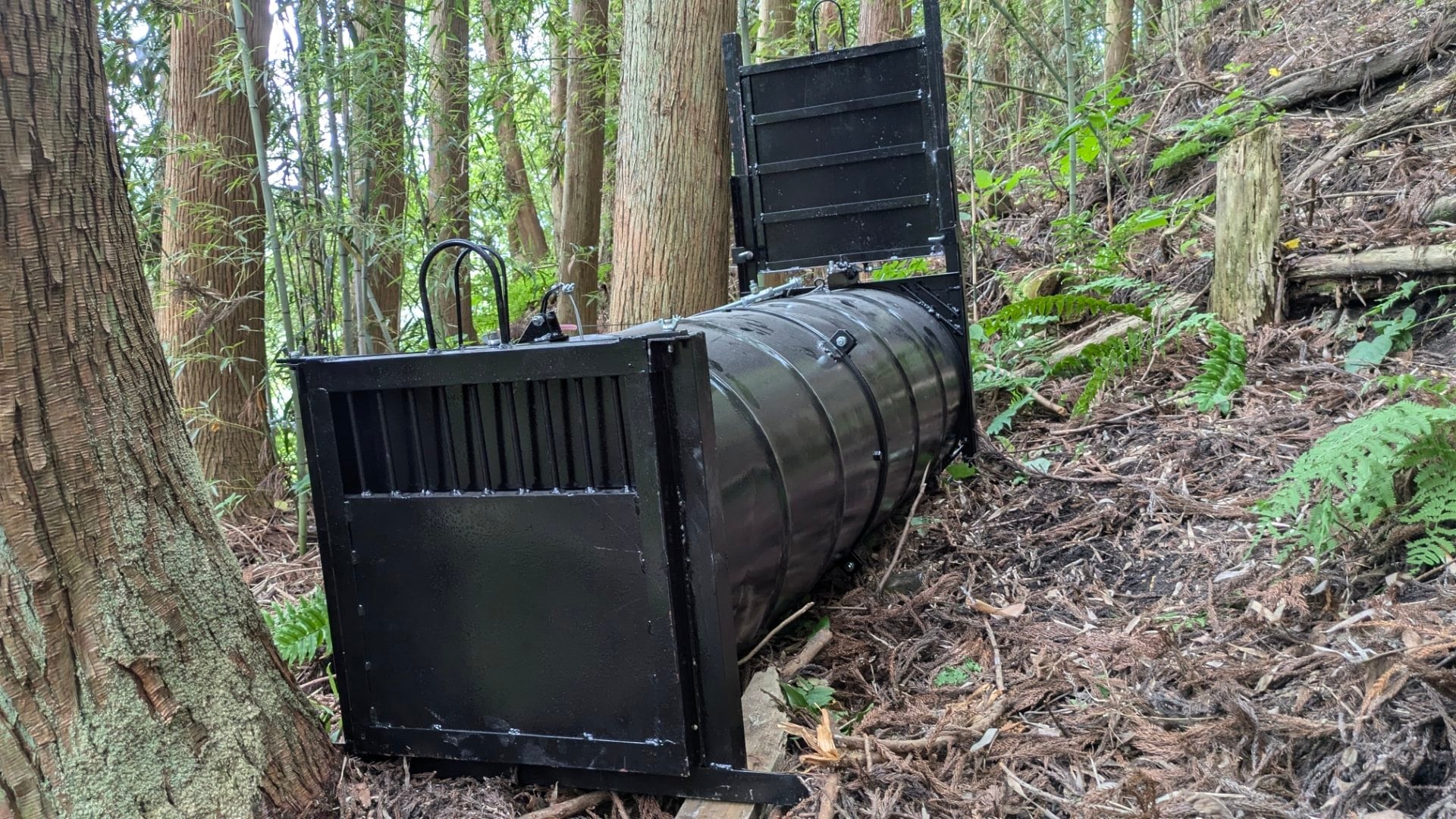 続報】「タケノコ採りで竹やぶに入ったらクマに襲われた」40代男性が