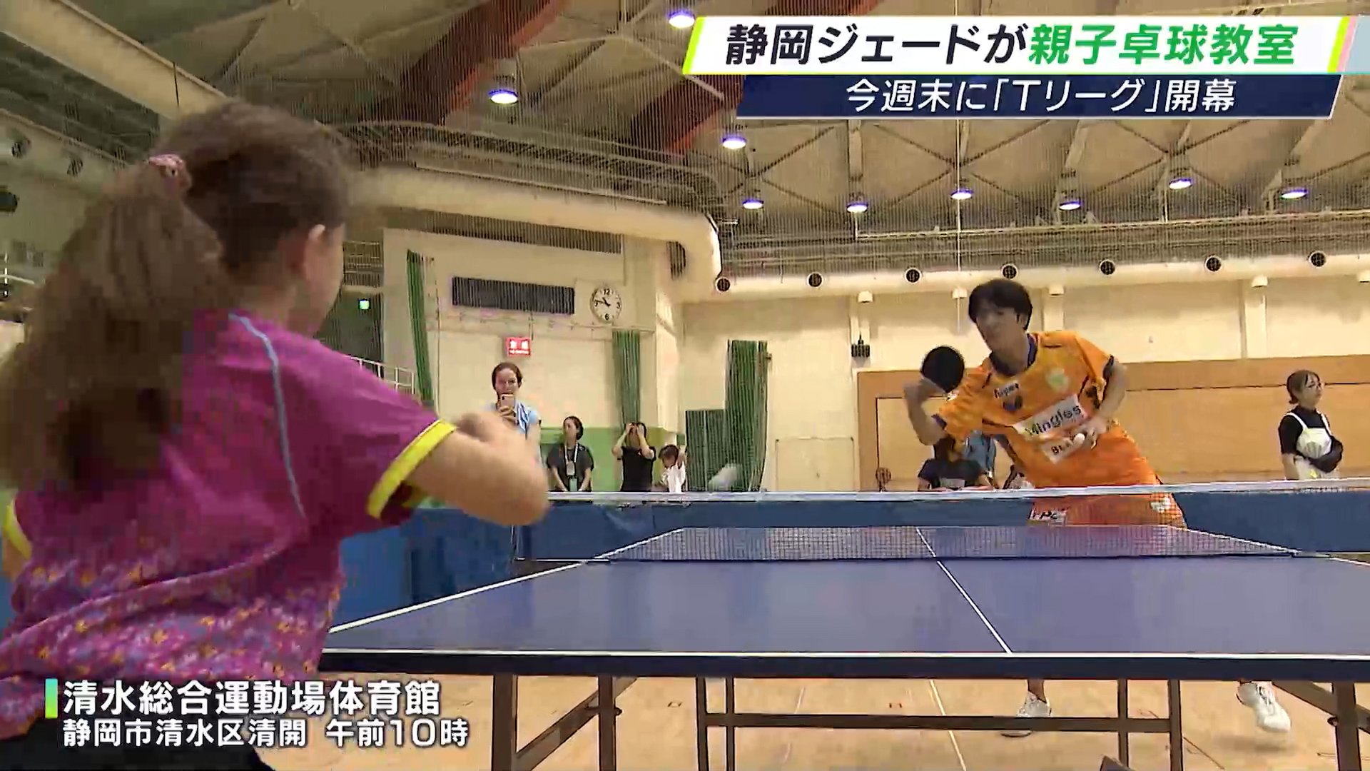 【値下げ】チャンピオンスポーツ教室　卓球教室１週間 卓球の迫力や素晴らしさを知ってもらいたい」静岡ジェードの卓球教室