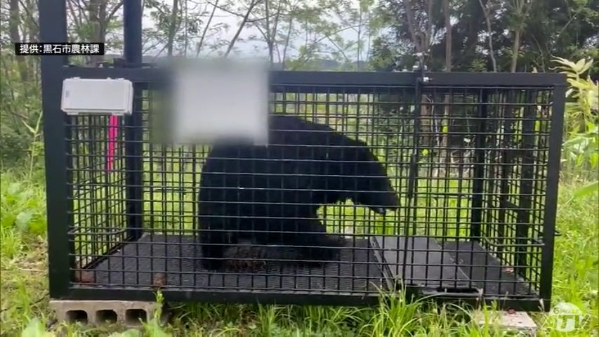 国の関係機関や東北各県が「クマ対策」や「被害」に関する情報共有