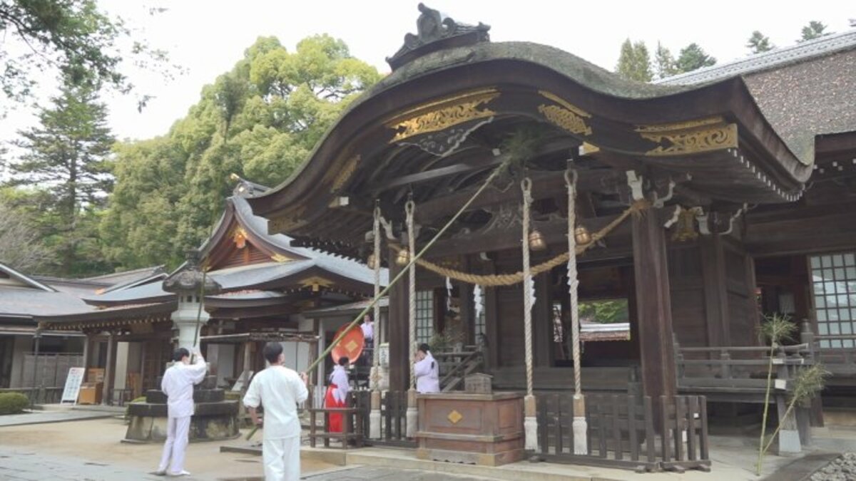 武田神社で年末恒例のすす払い 長さ およそ5mのほうきで1年の汚れを払い落す | TBS NEWS DIG
