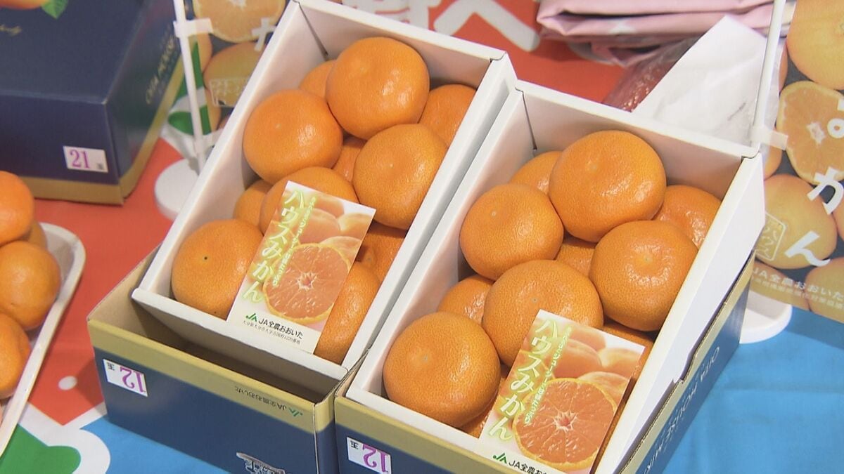 大分ハウスみかんの初競り　ご祝儀相場で5キロ18万円、1玉6000円の高値
