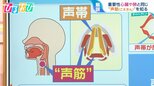 「のど」が衰えるとつまずきやすくなる!?声の専門医に聞く“声筋”トレーニング【ひるおび】|TBS NEWS DIG