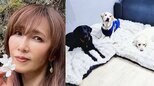 【工藤静香】ファンと共にライブ・ディナーショーのグッズ売上を寄付 犬たちの支援に 日本補助犬協会から感謝状|TBS NEWS DIG
