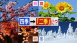 「長~い夏ちょっとだけ春と秋、あとは冬がしっかりある」日本は『四季』から『二季』になった?温暖化すると夏むちゃくちゃ暑くて冬は寒気の影響を受けやすくなるワケは|TBS NEWS DIG