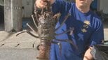 イセエビの密漁を防げ 漁協や海保が合同パトロールを強化|TBS NEWS DIG