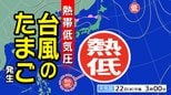 【台風のたまご】新たな「熱帯低気圧」発生 今年は当たり年か?【雨風シミュレーション/全国各都市の週間予報】「今後の台風情報に注意」気象庁 予想天気図|TBS NEWS DIG