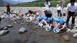 ウナギの資源保護に理解を深めて　日向市の耳川で子どもたちがウナギの放流体験|TBS NEWS DIG