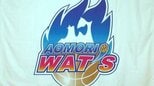【青森ワッツ】今シーズンのゲームキャプテン ラシャード・ケリー選手が海外移籍（退団）　マックス・ヒサタケ選手（契約解除）、ティム・ダルガー選手・神里和選手（契約満了）で自由交渉選手リストに　プロバスケＢ２|TBS NEWS DIG