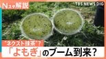 “ハーブの女王”よもぎが“ネクスト抹茶”に？出荷量が過去最高　“ほぼ草”たい焼きにドーナツ…続々進出【Nスタ解説】|TBS NEWS DIG