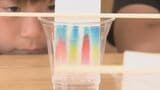 身近な食材で抗酸化作用を調べよう 科学のプロが教える夏休みの簡単自由研究 | 大分のニュース|OBS NEWS|大分放送