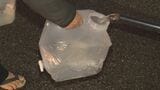 石垣市全域で3時間半にわたり断水 浄水場のろ過装置に不具合の復旧めど立たず 給水再開も影響続く | 沖縄のニュース|RBC 琉球放送