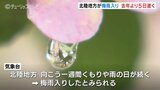 北陸地方が梅雨入り　平年並みで去年より５日遅く　向こう１週間天気ぐずつく　富山　|　富山のニュース｜天気・防災｜チューリップテレビ