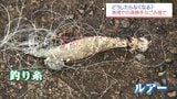漁船の安全や地域の負担にも直結…　宮崎の漁港に相次ぐごみポイ捨て　景観と環境を守る第一歩とは？　|　MRTニュース ｜ ＭＲＴ宮崎放送
