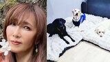 【工藤静香】ファンと共にライブ・ディナーショーのグッズ売上を寄付 犬たちの支援に　日本補助犬協会から感謝状|TBS NEWS DIG